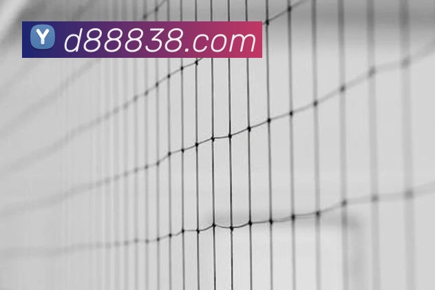 尊龙d88官网服务体系